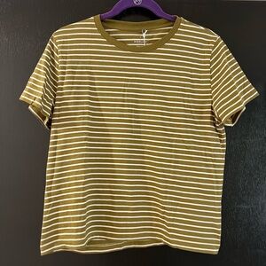 Everlane Organic Cotton Box-Cut Tee in Olive - Size M